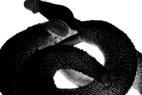 Cover Image for Custom Call O' Cthulhu adventure "Meatpackers" Part 3