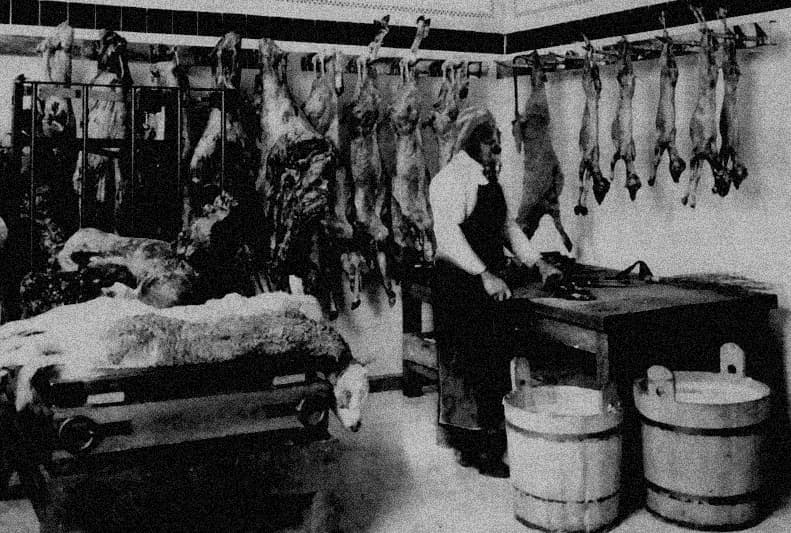 Cover Image for Call'o'thlu "Meatpackers" Part 4